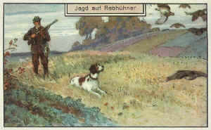 45 Lustige Bilder Von Jagen In 2020 Lustig